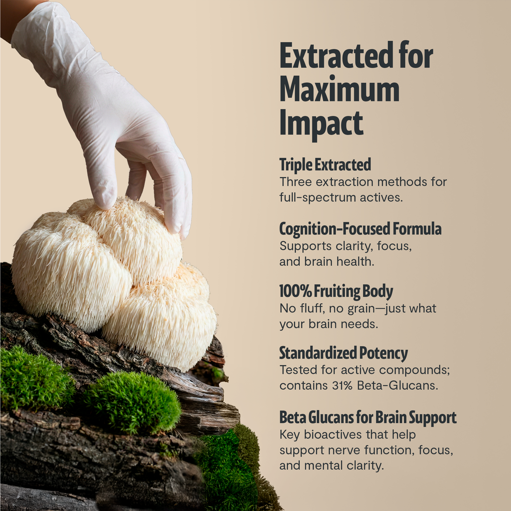 Organic Lion’s Mane Capsules